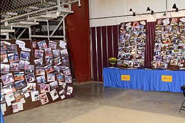 2011 Myers Performance Horses Sale Results