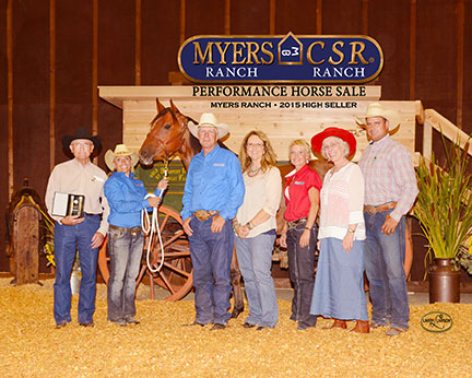 2015 Myers Performance Horses Sale Results